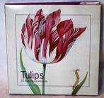 Tulpen, kaartenset, 10 kaarten Rijksmuseum, Ophalen of Verzenden, 1980 tot heden, Ongelopen
