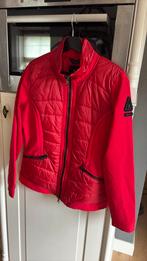 Gaastra prachtig zgan rood softsheljasje in de maat L, Gaastra, Maat 42/44 (L), Ophalen of Verzenden, Zo goed als nieuw