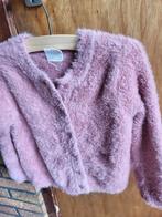 Baby vestje roze maat 86-92, Ophalen, Gebruikt, Hema, Truitje of Vestje