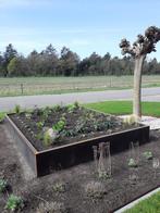 Goedkoopste cortenstalen bloembakken! Snelle levering, Ophalen, 100 cm of meer, Nieuw, Metaal