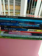 Diverse blink leesboeken lagere school, Boeken, Ophalen of Verzenden, Zo goed als nieuw