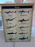 Kunststof poster, Verzamelen, Posters, Ophalen, A1 t/m A3