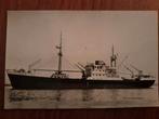 Oude ansichtkaart van m.v. 'VAN NOORT', Ophalen of Verzenden