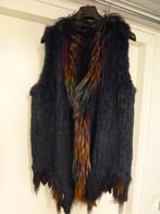 CAROLINE BISS VEST MAAT 40 NIEUW BLAUW BONT, Blauw, Maat 42/44 (L), Nieuw, Ophalen of Verzenden