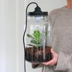 Terrarium/kweek pot, Tuin en Terras, Kweekspullen, Ophalen of Verzenden, Zo goed als nieuw, Kweekbak
