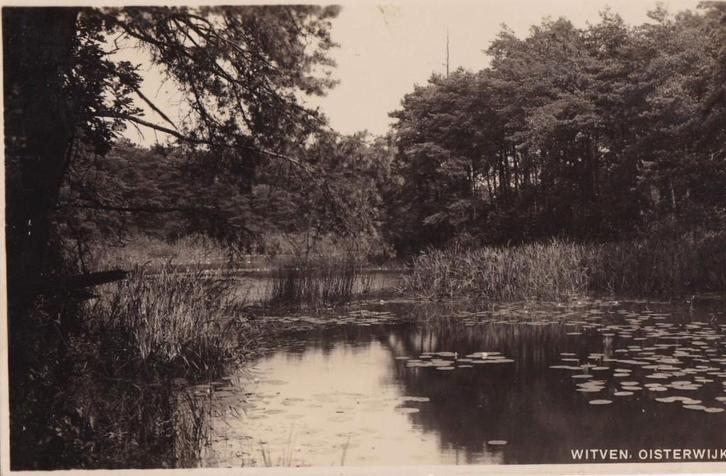 Oisterwijk,  Witven 1938, Verzamelen, Ansichtkaarten | Nederland, Gelopen, Noord-Brabant, 1940 tot 1960, Ophalen of Verzenden