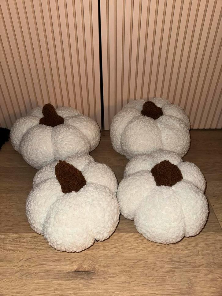4 decoratieve pompoen kussens, Huis en Inrichting, Woonaccessoires | Overige, Zo goed als nieuw, Ophalen of Verzenden