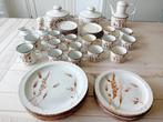 Stonehenge Midwinter Wild Oats Wedgwood servies., Huis en Inrichting, Keuken | Servies, Ophalen of Verzenden, Zo goed als nieuw