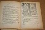 Het weeskind - Echo der eeuwen 8 - R. Feenstra ca. 1965, Boeken, Kinderboeken | Jeugd | 10 tot 12 jaar, Ophalen of Verzenden, Gelezen