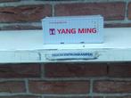 WSI  20  FT  Cont  van  Yang  Ming.