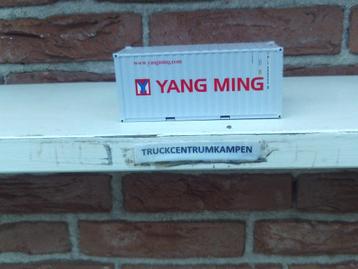 WSI  20  FT  Cont  van  Yang  Ming. beschikbaar voor biedingen