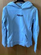 Lichtblauwe hoodie The Sting, The Sting, Blauw, Ophalen of Verzenden, Zo goed als nieuw