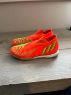 Zaalschoenen adidas, Maat L, Ophalen of Verzenden, Zo goed als nieuw, Schoenen