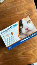 Stronghold Plus katten anti vlooi worm ontwormen vlooien, Nieuw, Ophalen of Verzenden