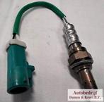 Lambdasensor MG ZT260 / Rover 75 V8 MHK000670, Ophalen of Verzenden, Nieuw, MG