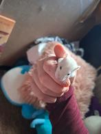❤️Tamme Gezins Rittens Ratjes🐁❤️🥰 Agouti Albino Solid, Dieren en Toebehoren, Rat, Meerdere dieren, Tam, Oktober