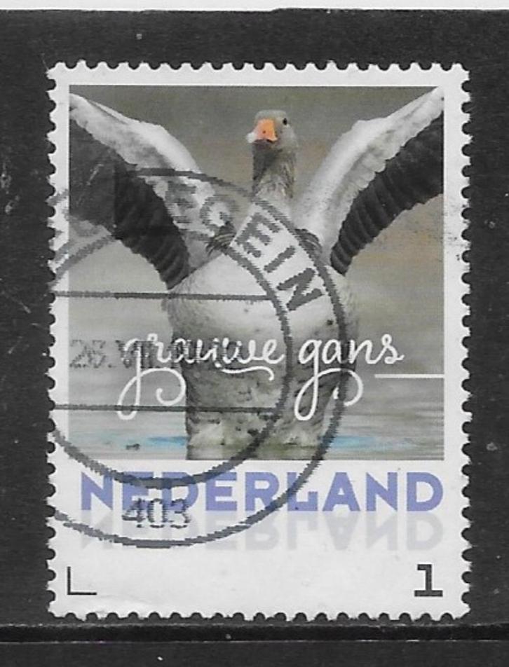 Persoonlijke, Vogels, Grauwe Gans (K1526), Postzegels en Munten, Postzegels | Nederland, Ophalen of Verzenden