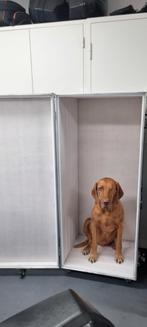 Flightcase, concours-kast, zadelkast, kist aanhangwagen, etc, Dieren en Toebehoren, Ophalen of Verzenden, Gebruikt, Overige soorten
