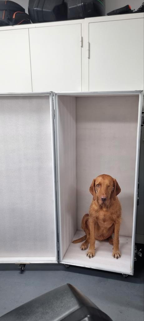 Flightcase, concours-kast, zadelkast, kist aanhangwagen, etc, Dieren en Toebehoren, Paarden en Pony's | Overige Paardenspullen