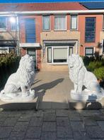 Set grote betonnen leeuwen