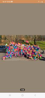 Grote loopgroep carnaval, Kleding | Dames, Carnavalskleding en Feestkleding, Ophalen, Gedragen, Maat 46/48 (XL) of groter, Overige thema's