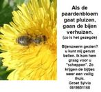 Imker in Waarland vangt bijenzwerm, Bijen