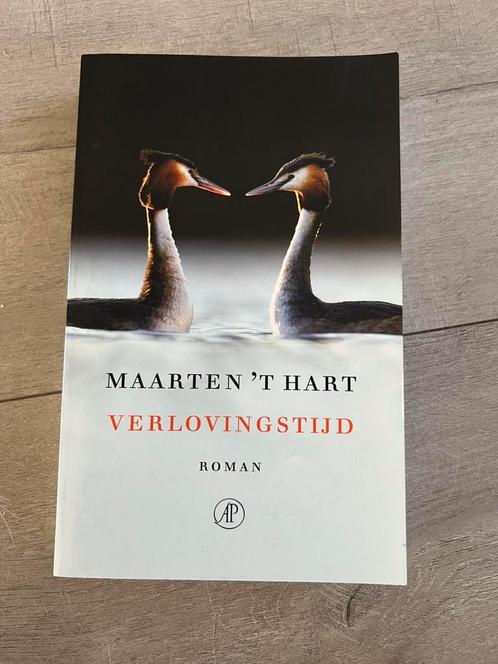 Maarten 't Hart - Verlovingstijd, Boeken, Literatuur, Zo goed als nieuw, Nederland, Ophalen of Verzenden