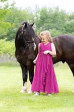 Knappe B pony, Dieren en Toebehoren, Pony's, B, Gechipt, Ruin, Dressuurpony