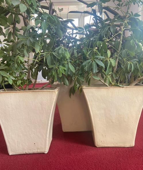 €50,- Zga 3 grote dure zware kwaliteit bloempotten, Tuin en Terras, Bloempotten, Zo goed als nieuw, Binnen, Rond, Ophalen of Verzenden