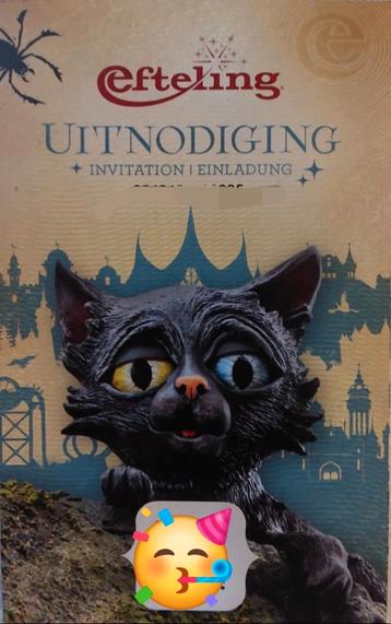 Efteling Kaartje - Geldig tot 31-12-2025 beschikbaar voor biedingen