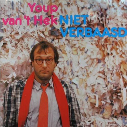Youp van 't Hek – Niet Verbaasd, Cd's en Dvd's, Vinyl | Nederlandstalig, Zo goed als nieuw, Levenslied of Smartlap, Verzenden