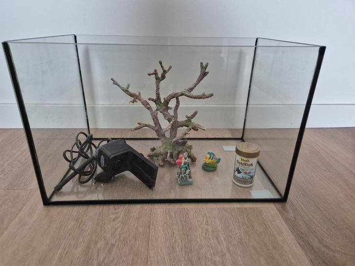 Aquarium met toebehoren, Dieren en Toebehoren, Vissen | Aquariumvissen, Vis