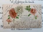 1901 Dahlia’s, Ophalen of Verzenden, Voor 1920, Gelopen, Overige thema's