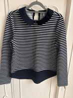 Nieuw blauwe trui merk Only maat 36, Only, Blauw, Nieuw, Ophalen of Verzenden