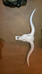 Skelet, Ophalen of Verzenden, Gebruikt