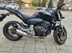 Honda CB600F Hornet, Particulier, Naked bike
