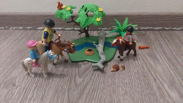 playmobil ponyrijles 6947 1 peesbeschermer, Kinderen en Baby's, Speelgoed | Playmobil, Gebruikt, Ophalen of Verzenden
