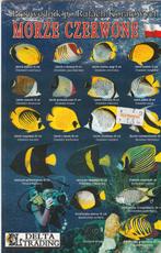 Viswijzer ( folder model ), Ophalen of Verzenden, Zo goed als nieuw