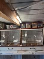 Te koop 2 bakker broedkooien ⁸, Dieren en Toebehoren, Vogels | Hokken en Kooien, Ophalen, Zo goed als nieuw, Kunststof, Broedkooi of Kweekkooi