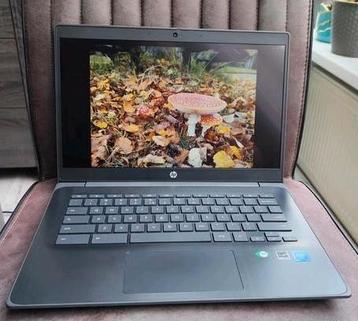 14 inch Chromebook HP 14 G6 met veel opties beschikbaar voor biedingen