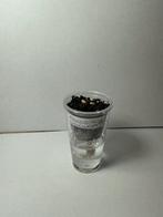 Alocasia lukiwan corm, Huis en Inrichting, Kamerplanten, Ophalen of Verzenden, Halfschaduw, Minder dan 100 cm