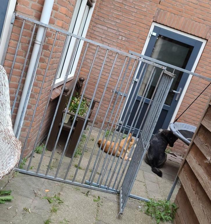 Hekwerk 2 stuks. 1 met deurtje, Tuin en Terras, Tuinhekken en Hekwerk, Ophalen