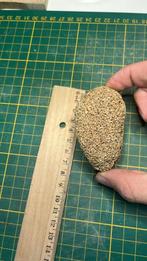 versteend koraal cambrium Marokko, Verzamelen, Mineralen en Fossielen, Ophalen of Verzenden, Fossiel