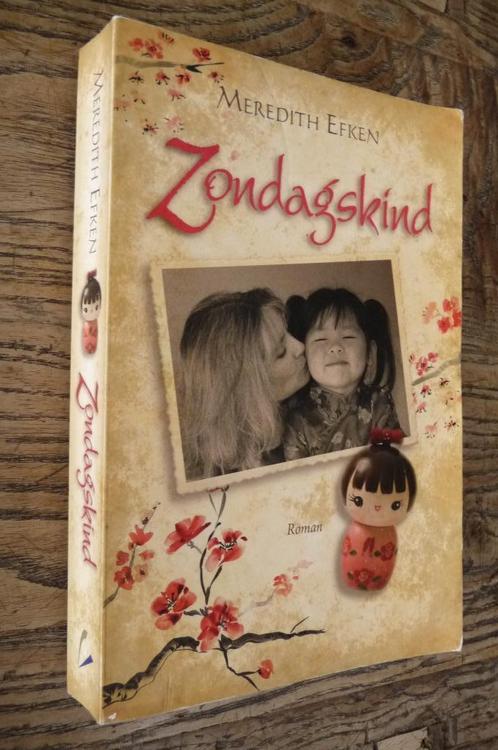 Zondagskind - Meredith Efken (christelijke roman), Boeken, Romans, Zo goed als nieuw, Nederland, Ophalen of Verzenden