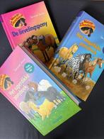 Manege de Zonnehoeve boeken serie, Ophalen of Verzenden, Zo goed als nieuw, Gertrud Jetten, Fictie algemeen