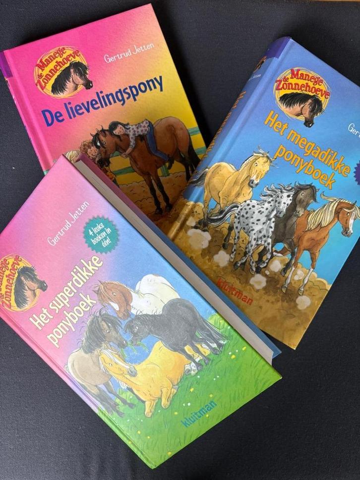 Manege de Zonnehoeve boeken serie, Boeken, Kinderboeken | Jeugd | onder 10 jaar, Zo goed als nieuw, Fictie algemeen, Ophalen of Verzenden