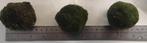 Mosbollen / Marimos (XL >5cm), Ophalen of Verzenden, Zo goed als nieuw