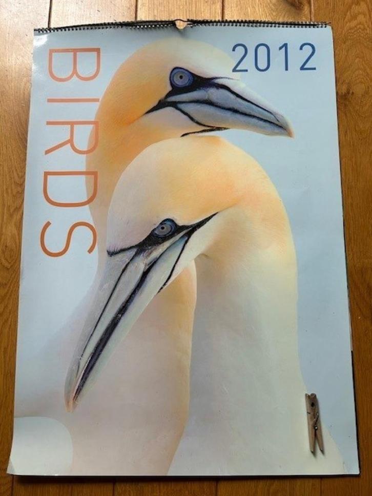 Mooie grote vogelplaten Vogelbeschermingskalender, Verzamelen, Posters, Zo goed als nieuw, Dier of Natuur, A1 t/m A3, Rechthoekig Staand