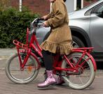 Alpina 16 inch fiets, Ophalen, Gebruikt, 16 tot 20 inch, Alpina