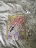 Acrylic panel Louise valliere zero no tsukaima anime/manga, Ophalen of Verzenden, Overige figuren, Nieuw, Beeldje of Figuurtje